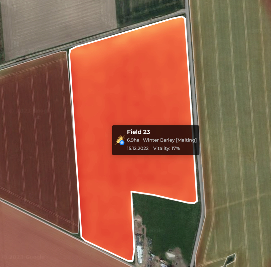 Biomass vitality all you need to know Arvorum Help Center